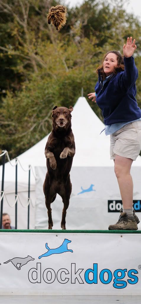 dockdogs1.jpg