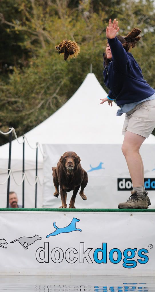 dockdogs1a.jpg