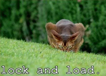 funny-pictures-lock-and-load.jpg