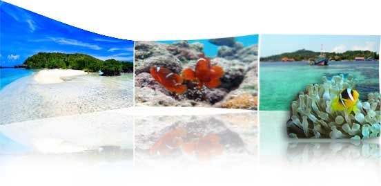  photo Icon-Pahawang_for-web_zpsfcbdbbcb.jpg