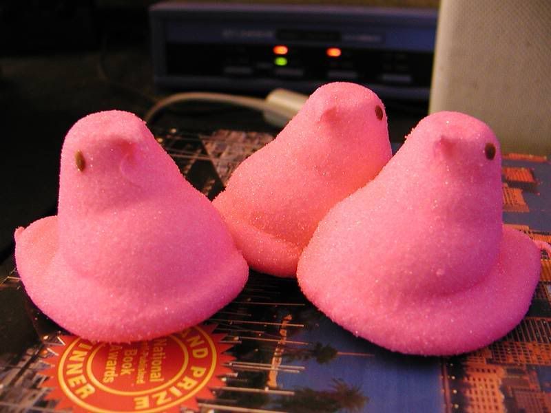 pink peeps yo Pictures, Images and Photos