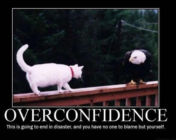 over-confidence-cat-eagle-demotivat.jpg