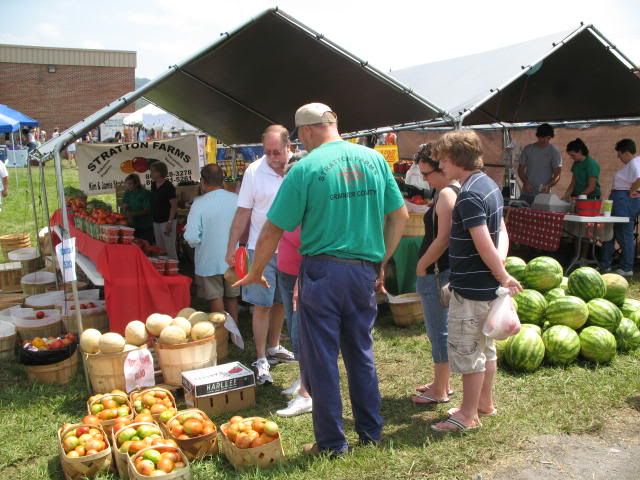 lots of tomatoes at the grainger county tomato festival