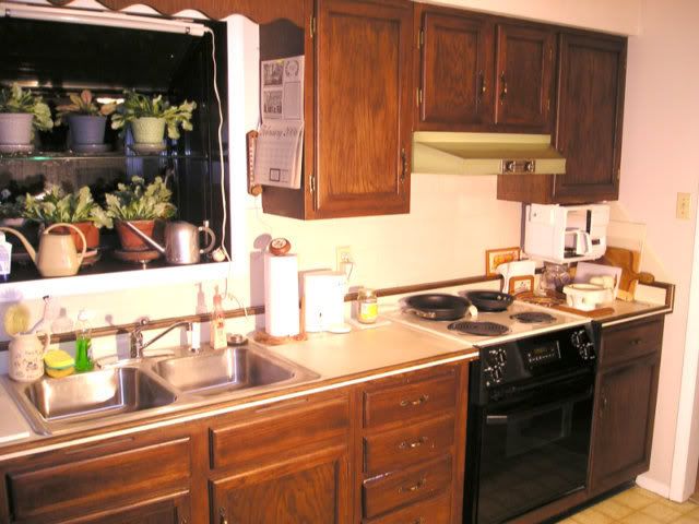 staged kitchen before jim lee realtor