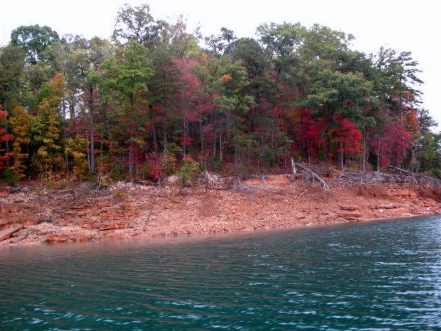 fall colors from norris lake at norris dam state park north of knoxville tennessee