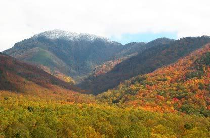 fall colors in the great smoky mountains national park