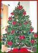 knoxville christmas tree
