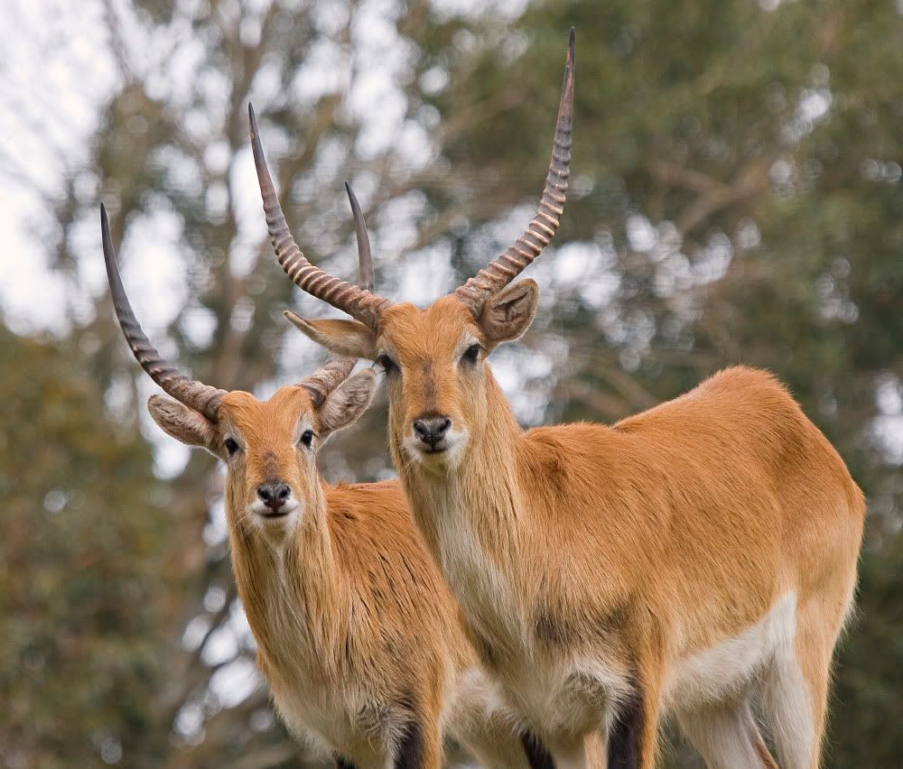 IMAGE: http://i92.photobucket.com/albums/l5/daveyboys/IMG_8911copy.jpg