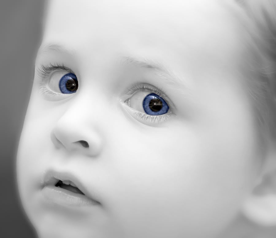 IMAGE: http://i92.photobucket.com/albums/l5/daveyboys/ethanbwsoftweb.jpg