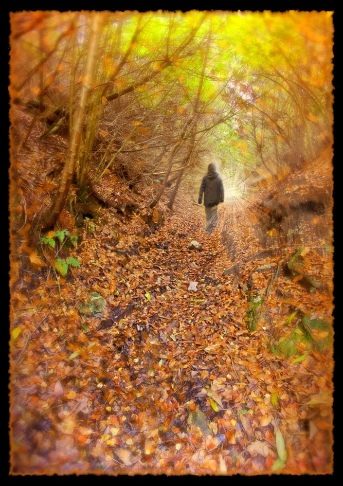 IMAGE: http://i92.photobucket.com/albums/l5/daveyboys/intothelightfinal-.jpg