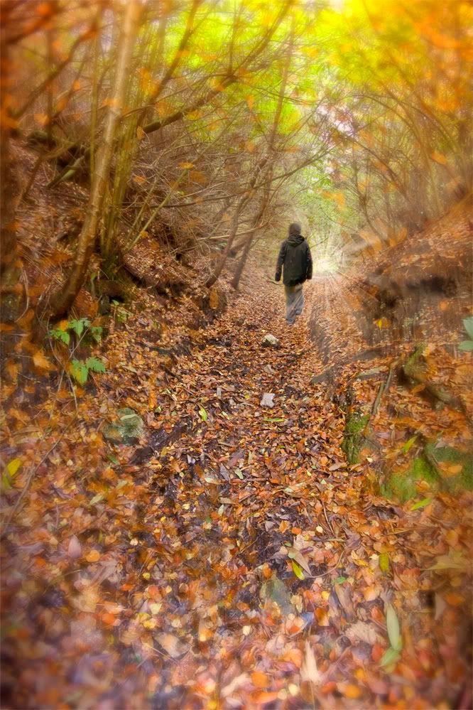 IMAGE: http://i92.photobucket.com/albums/l5/daveyboys/intothelightweb.jpg