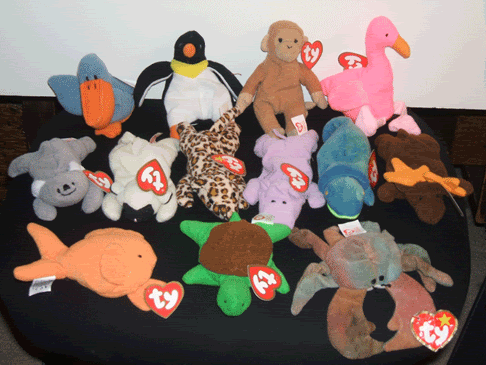 Set Teenie Beanie Babies Pictures, Images and Photos