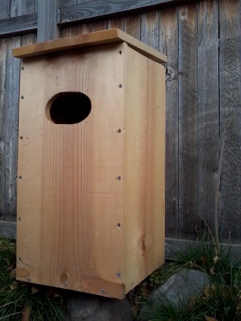Wood Duck Boxes Utah Wildlife Network