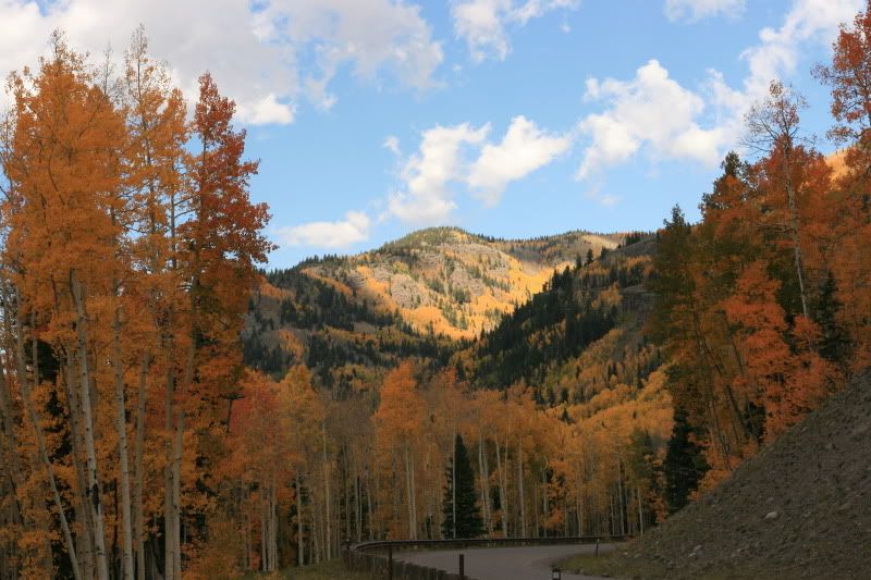 ColoradoFall2010050.jpg