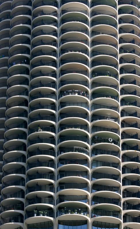 IMAGE: http://i92.photobucket.com/albums/l8/barkleydog1/07-09-2007018.jpg