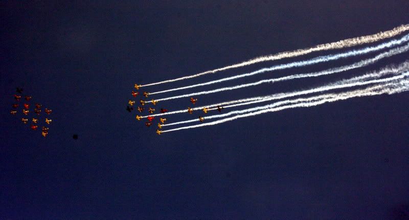 IMAGE: http://i92.photobucket.com/albums/l8/barkleydog1/IMG_3965-7.jpg