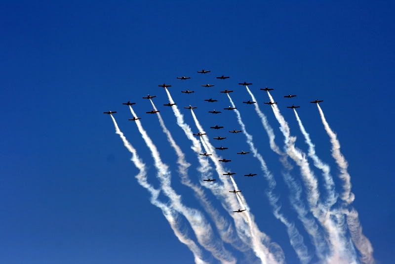 IMAGE: http://i92.photobucket.com/albums/l8/barkleydog1/IMG_3974-1.jpg