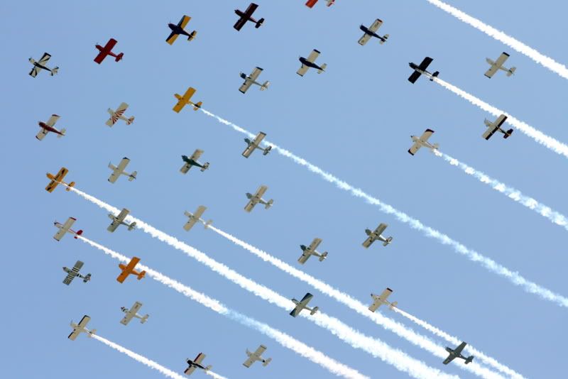 IMAGE: http://i92.photobucket.com/albums/l8/barkleydog1/IMG_4005-1.jpg