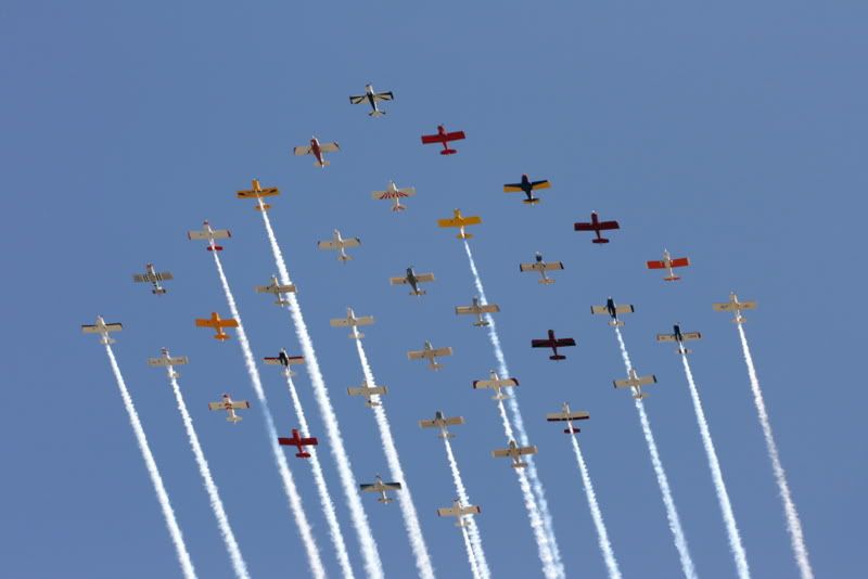 IMAGE: http://i92.photobucket.com/albums/l8/barkleydog1/IMG_4033-1.jpg