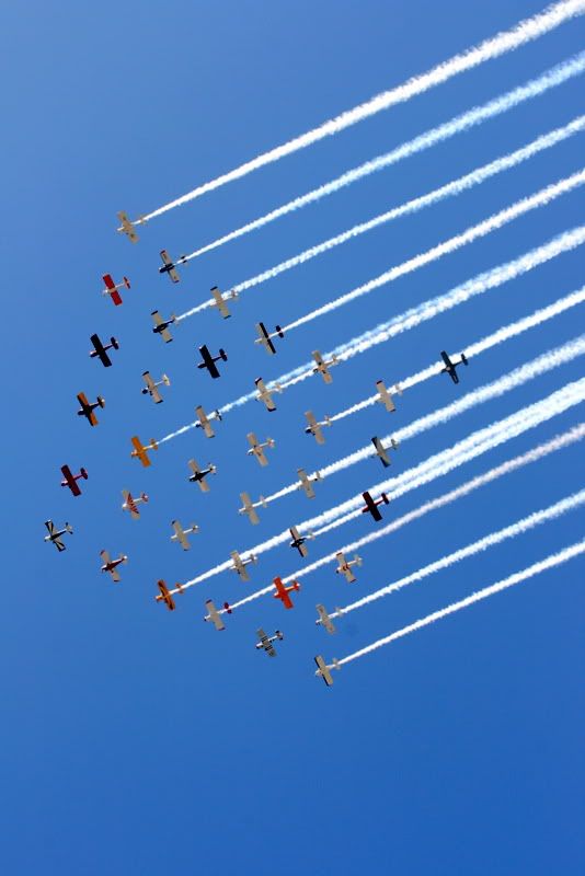 IMAGE: http://i92.photobucket.com/albums/l8/barkleydog1/IMG_4036-1.jpg