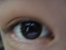 DSC02196.jpg