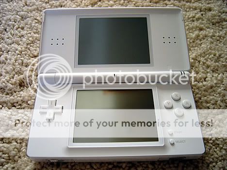 The DS Lite