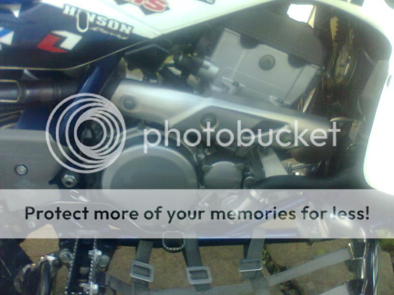 Post your Z pics here!!!! - Page 72 - Suzuki Z400 Forum : Z400 Forums