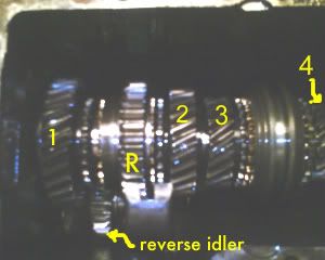 IMAGE_01316.jpg