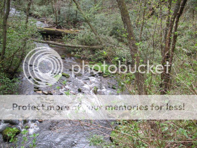 Caldwell Fork in the Great Smoky Mountains National Park